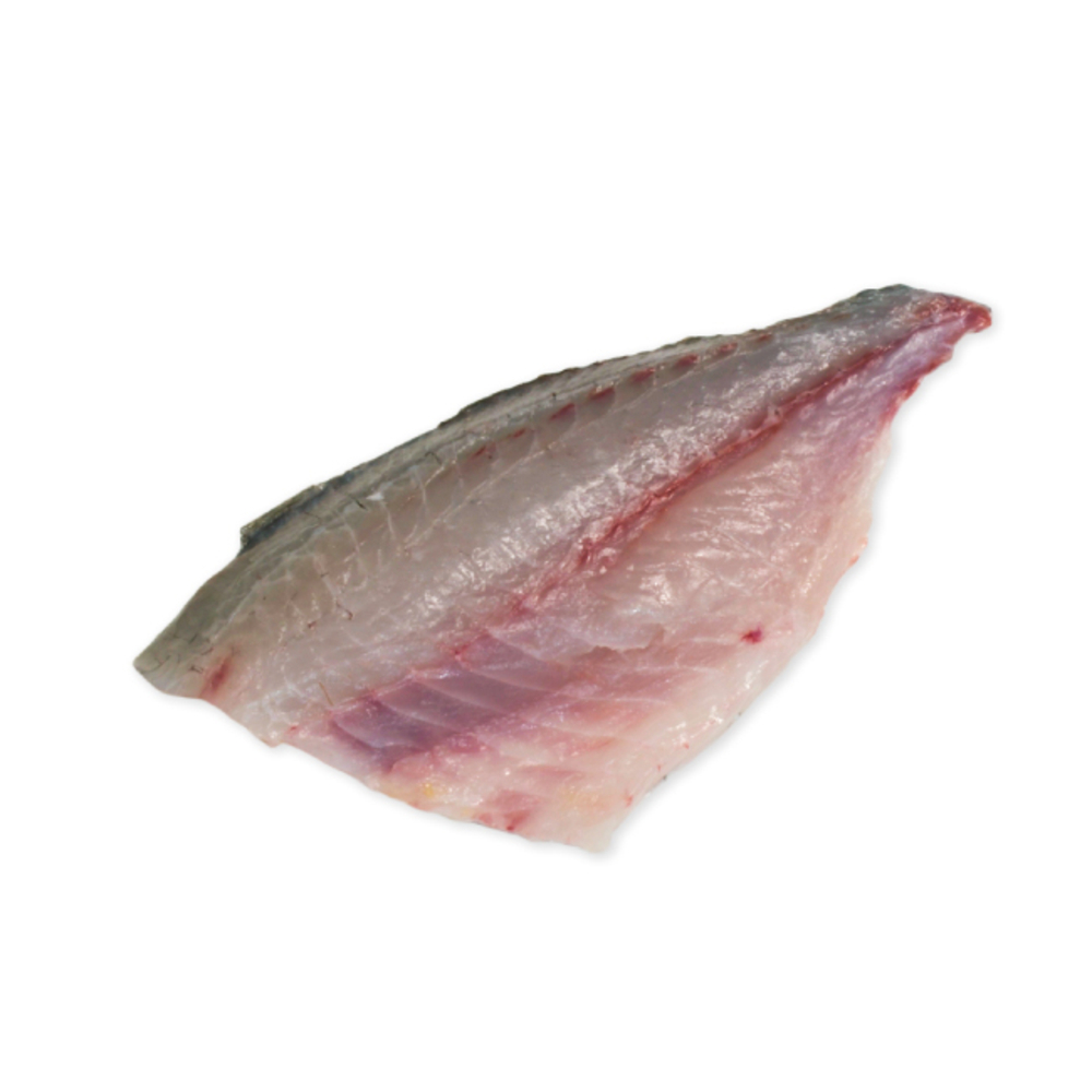 FILETTO DI ORATA DI ORBETELLO 500/700